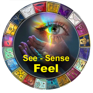 See Sense Feel