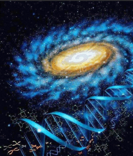 Galaxy DNA