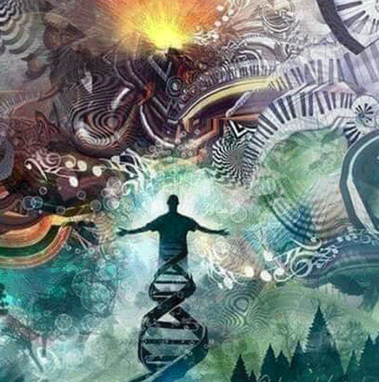 DNA Harmony